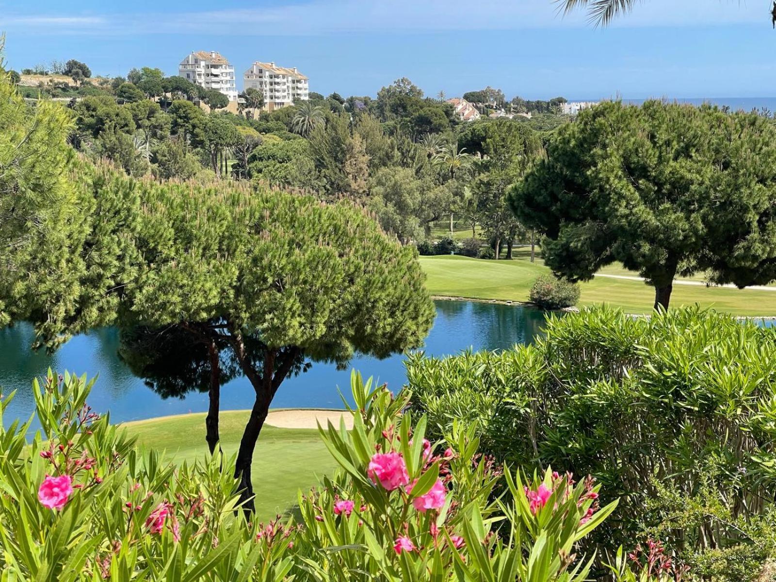 Villaer Golf In Marbella, Frontline Golfvilla In Rioreal Golf