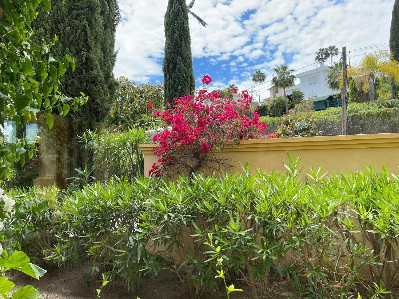 Villaer Golf In Marbella, Frontline Golfvilla In Rioreal Golf *